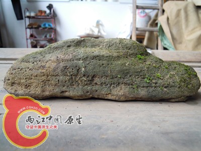 DSCN1024.jpg
