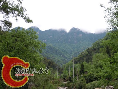 DSCN1032.jpg