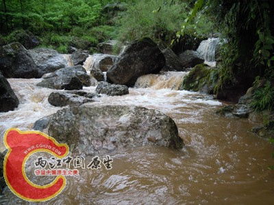 DSCN1054.jpg