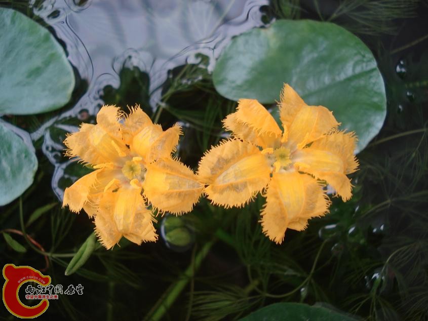 DSC01575.JPG