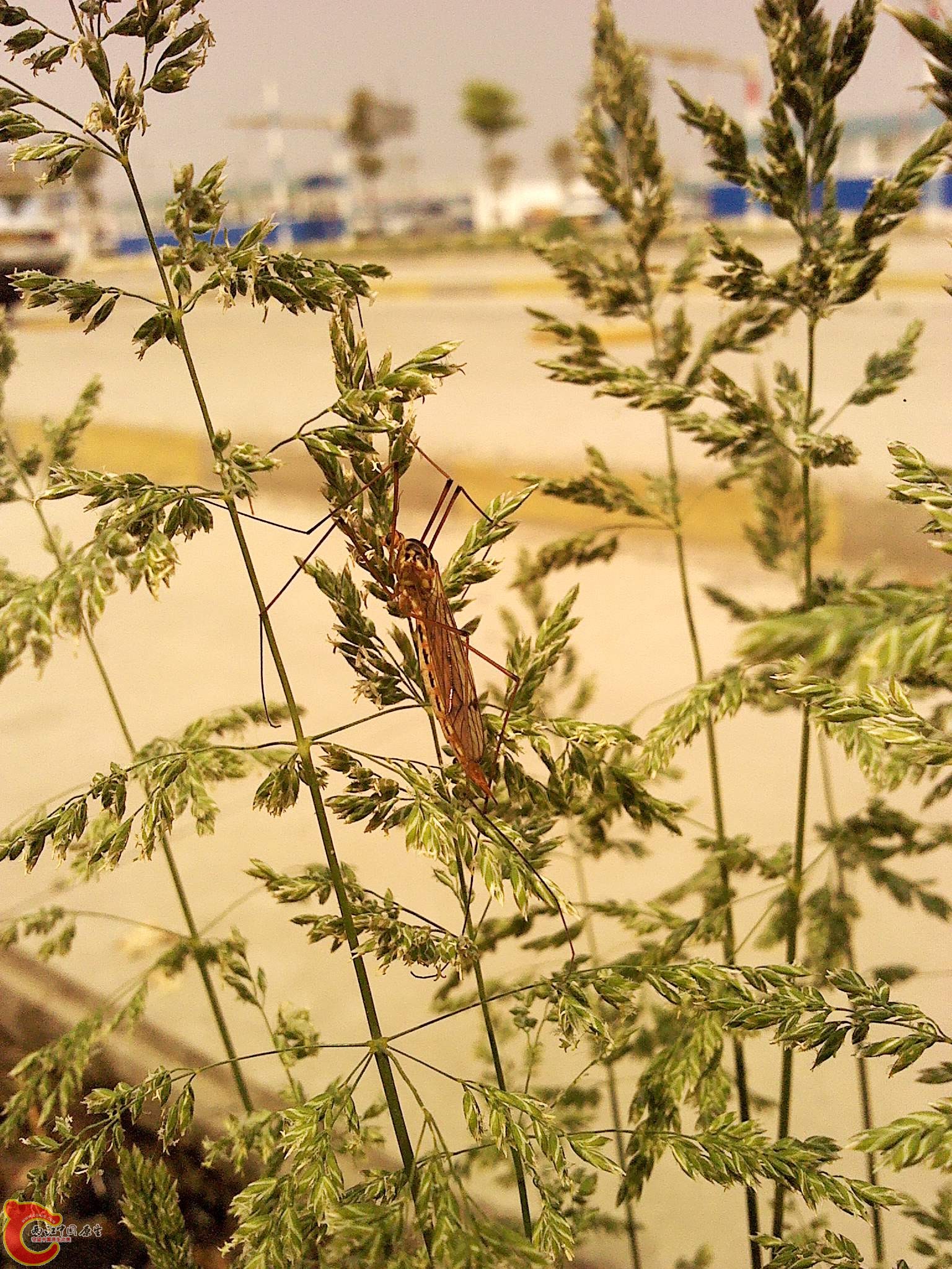 2012-05-04 10.04.04.jpg