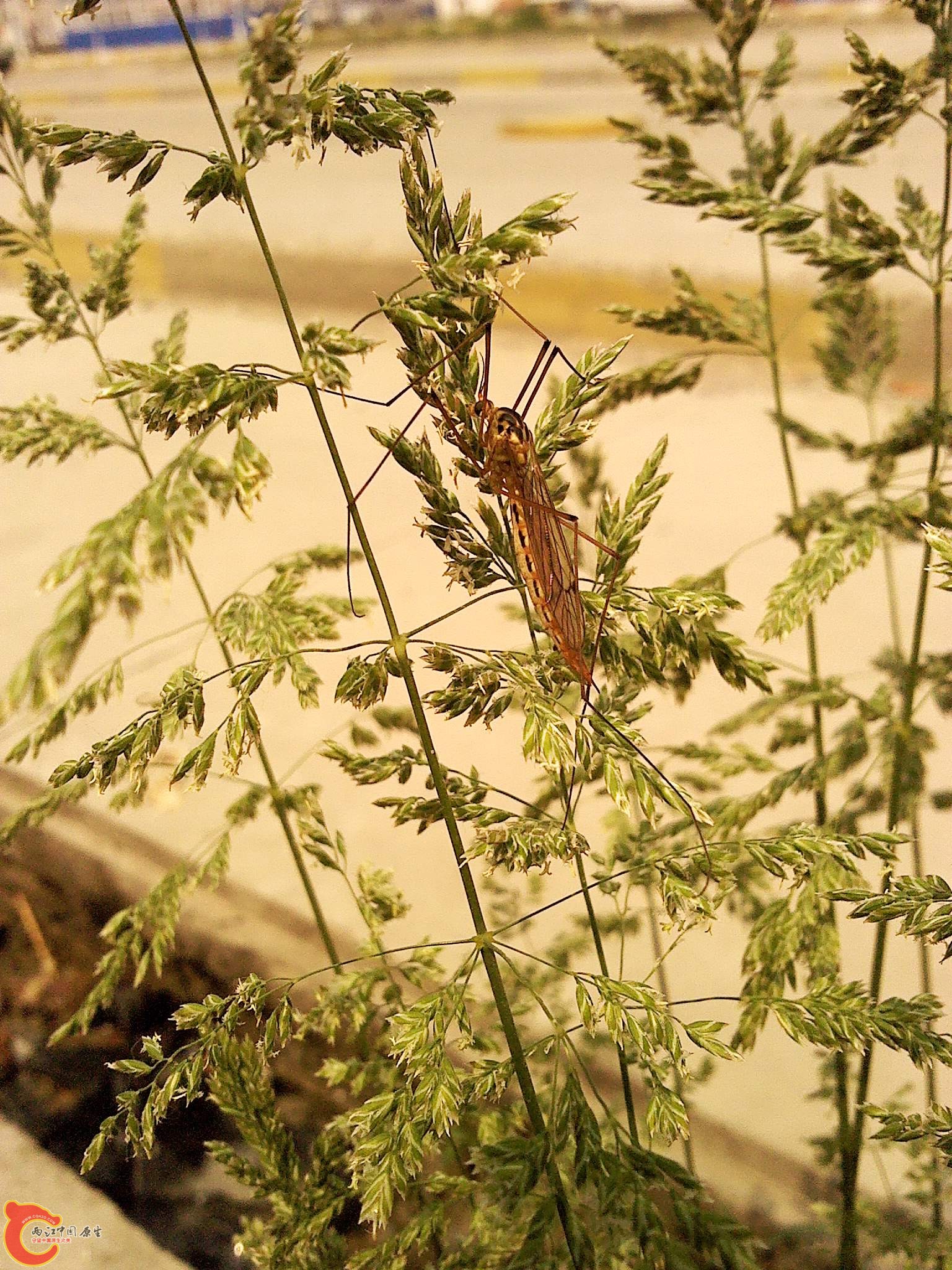 2012-05-04 10.03.52.jpg