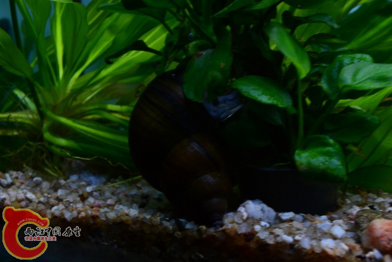DSC_0013.JPG