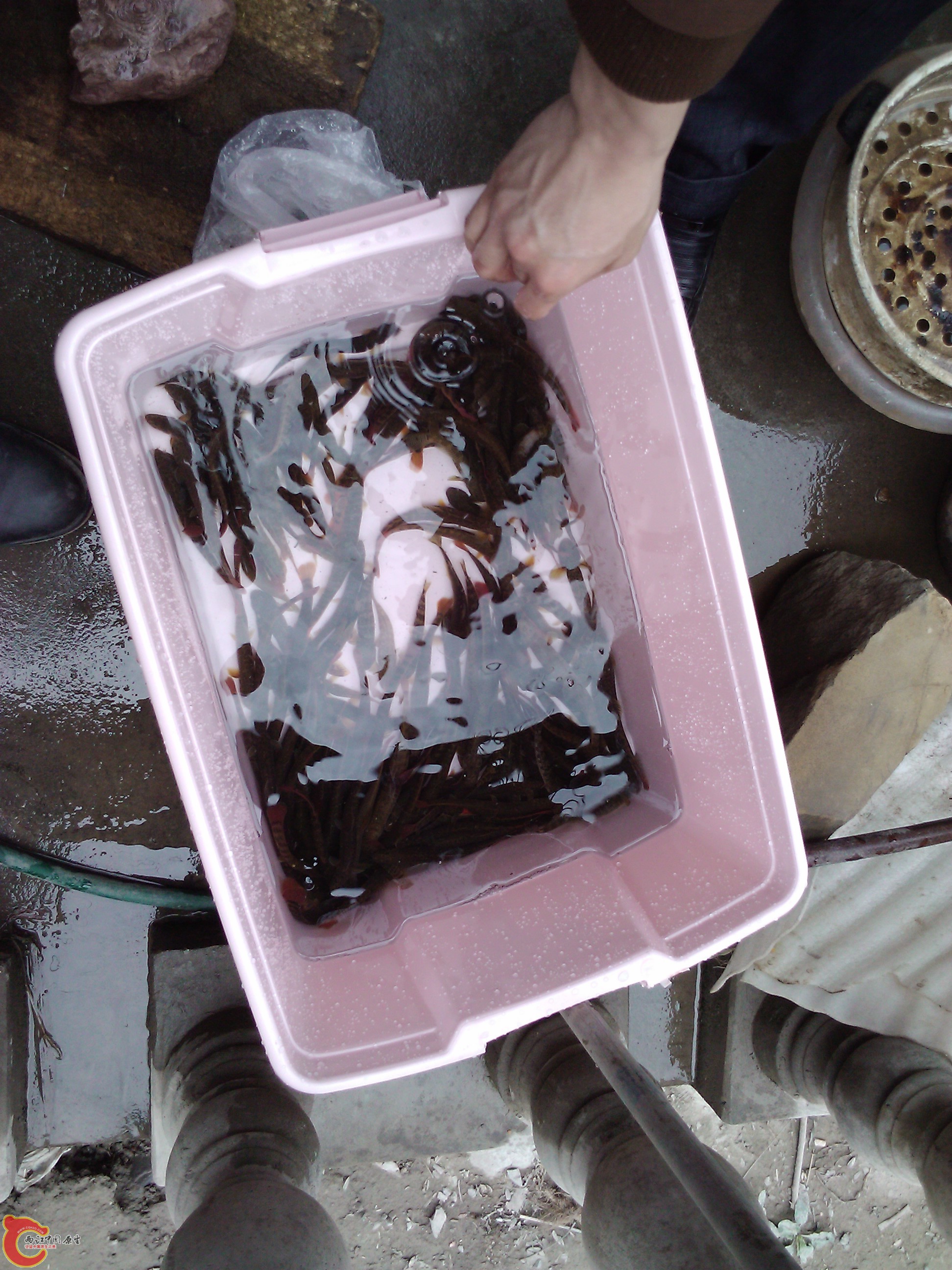 2012-04-08 10.53.22.jpg