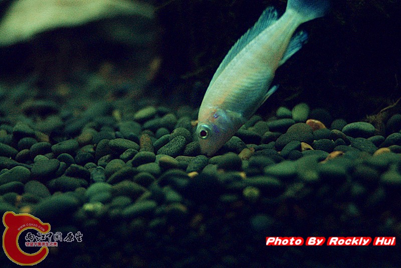 IMGP2128_副本.jpg