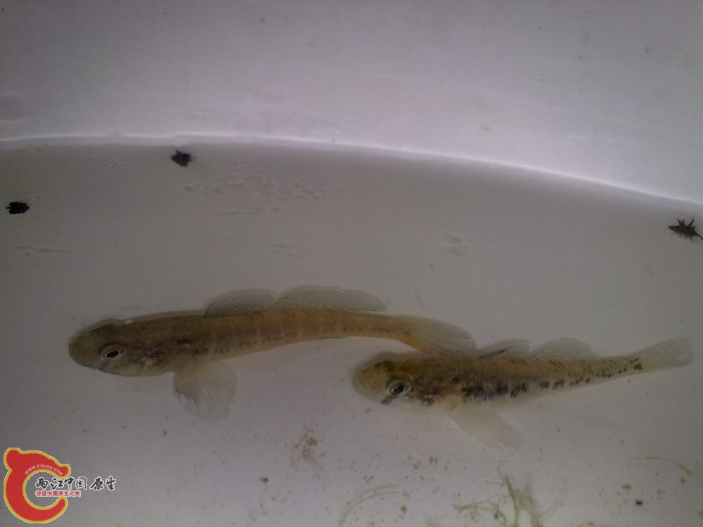 20120509-1086.jpg