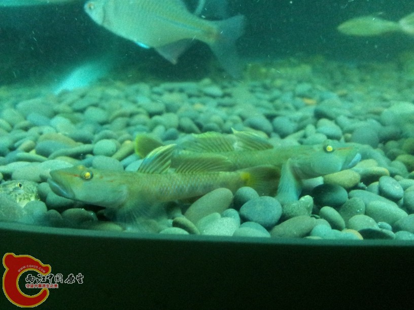 2012-05-19 23.24.44.jpg