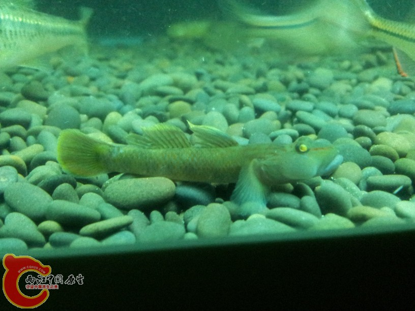 2012-05-19 23.25.03.jpg