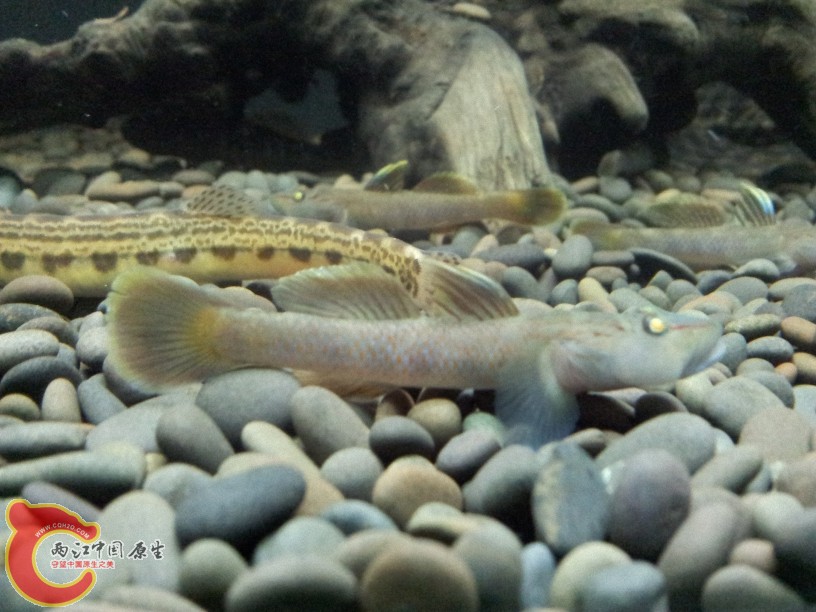 2012-05-20 23.01.56.jpg