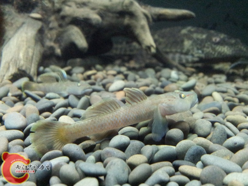 2012-05-20 23.02.13.jpg