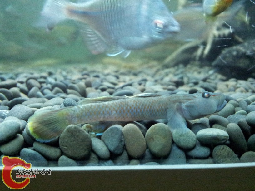 2012-05-20 23.02.58.jpg