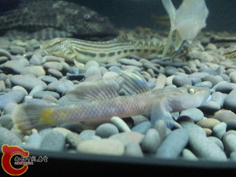 2012-05-20 23.06.09.jpg