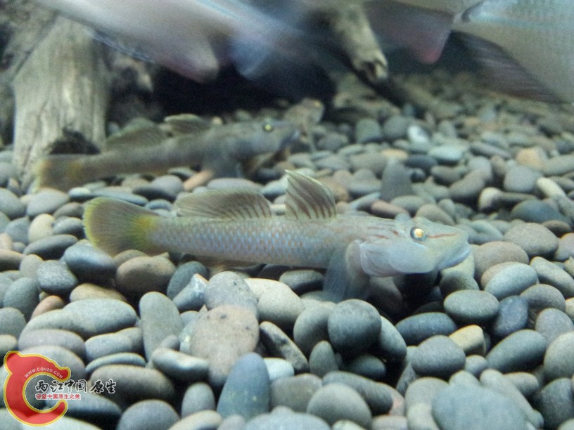 2012-05-21 00.27.06.jpg