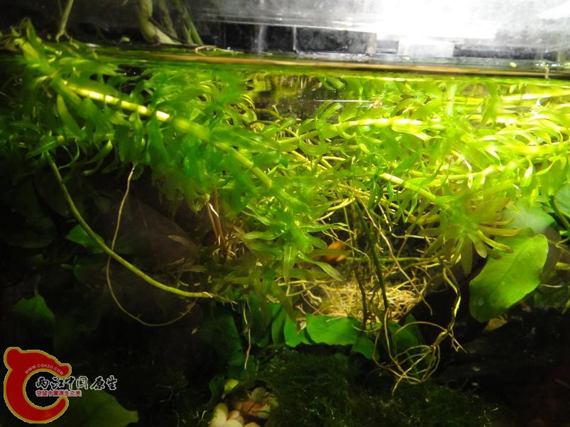 DSC01312.JPG