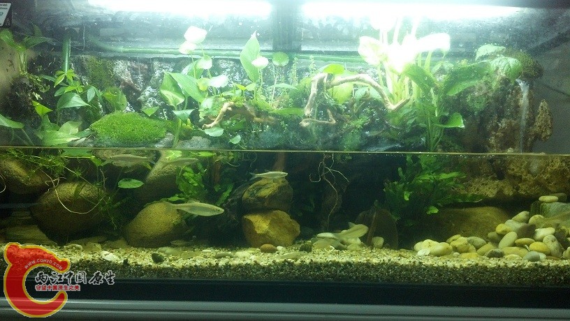 2012-05-12_21-58-46_581.jpg