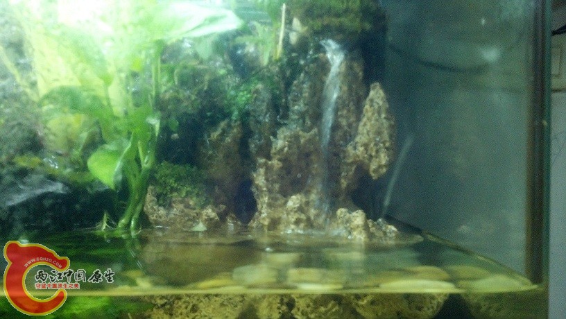 2012-05-21_22-31-52_223.jpg