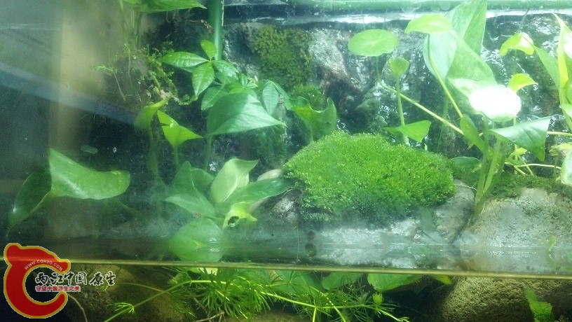 2012-05-21_22-35-58_397.jpg