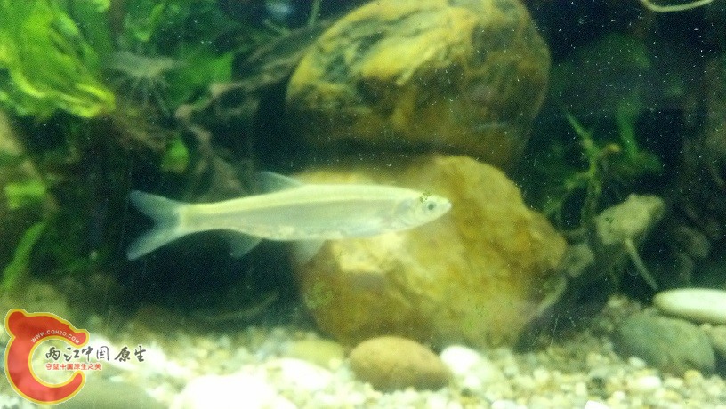 2012-05-21_22-35-16_163.jpg