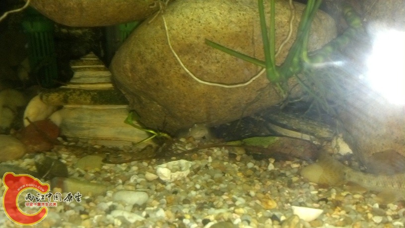 2012-05-21_22-33-14_123.jpg