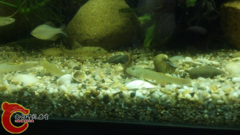 2012-05-21_22-33-38_865.jpg