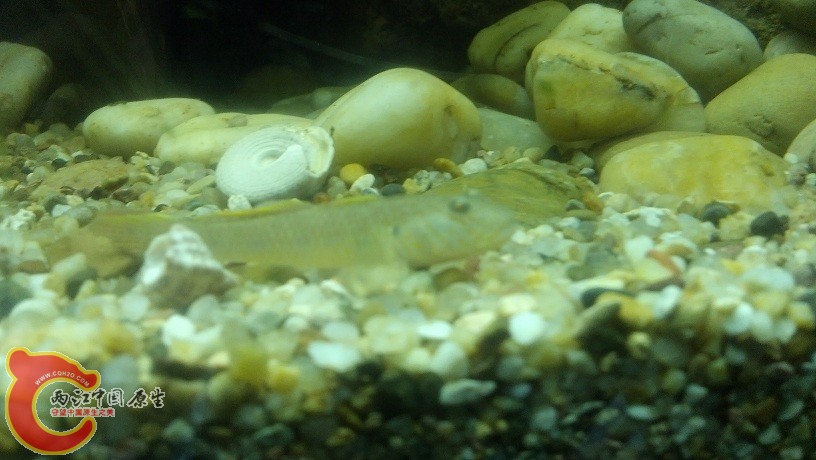 2012-05-21_22-35-08_281.jpg