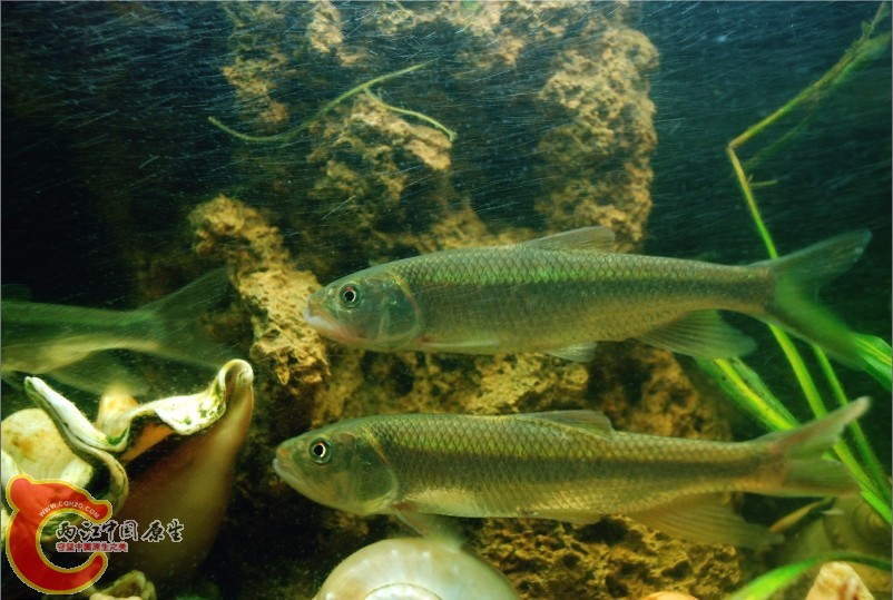 还不错 比较镇定