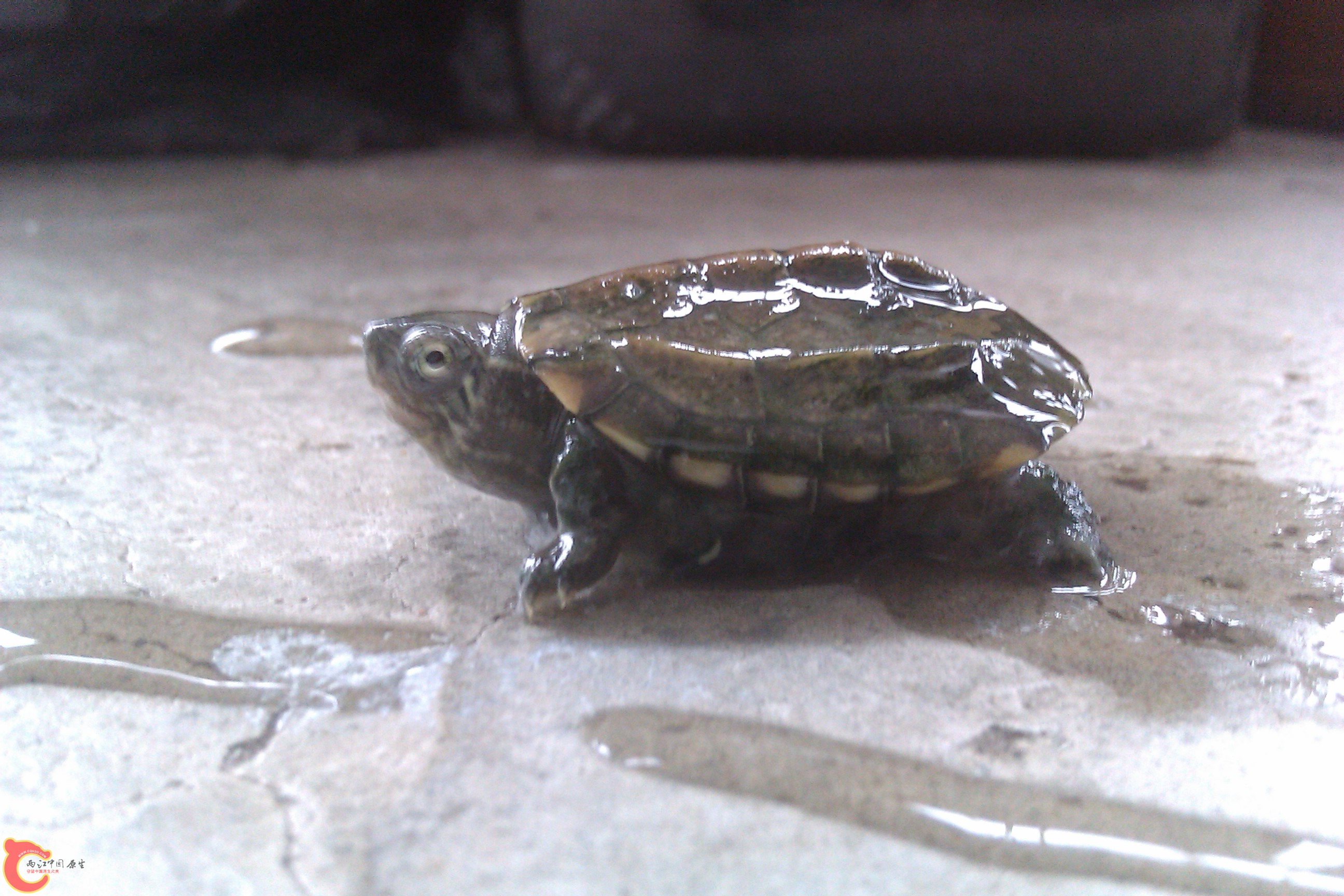 IMAG0451.jpg