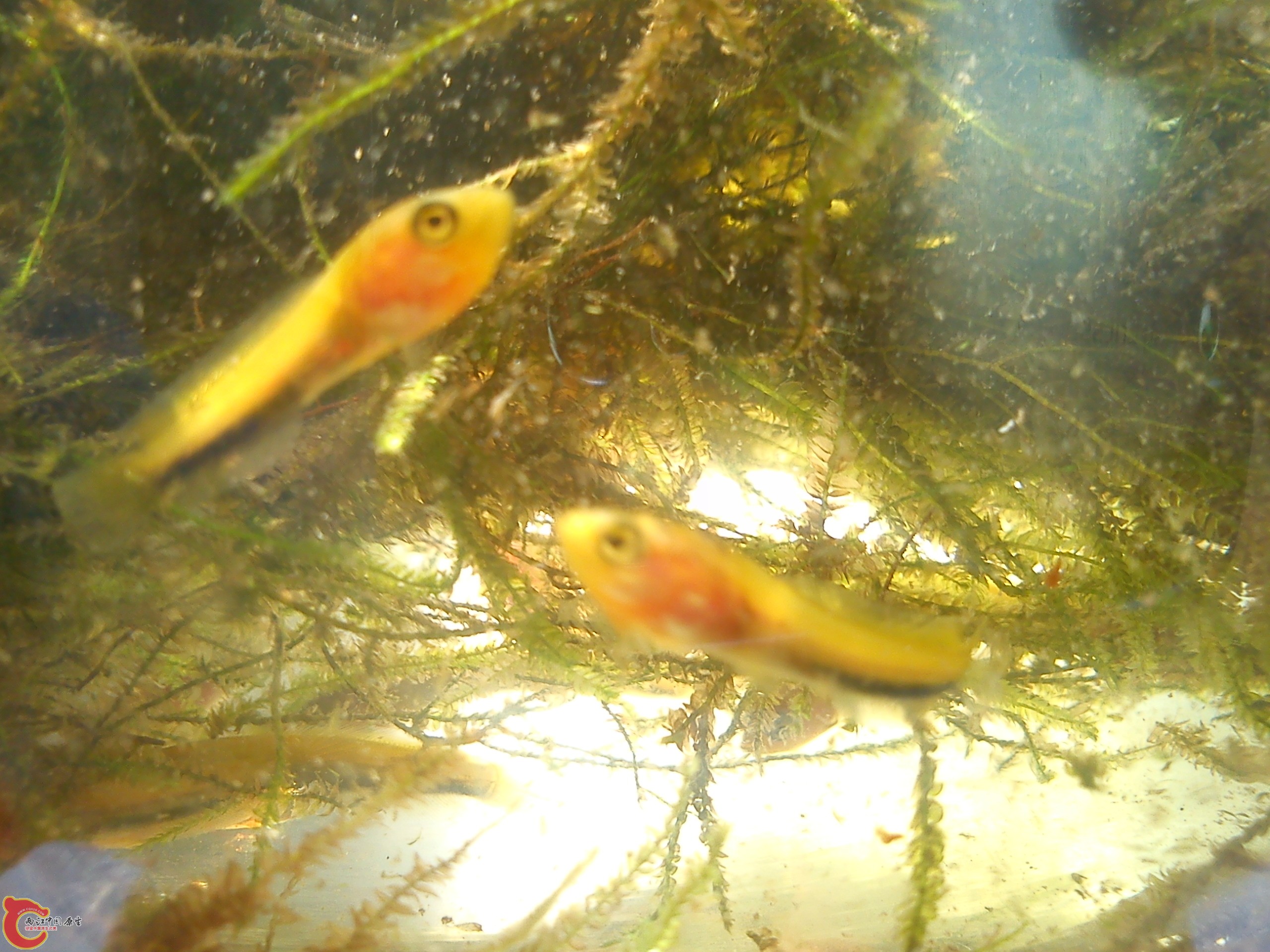 Camera_20120527_144120.jpg