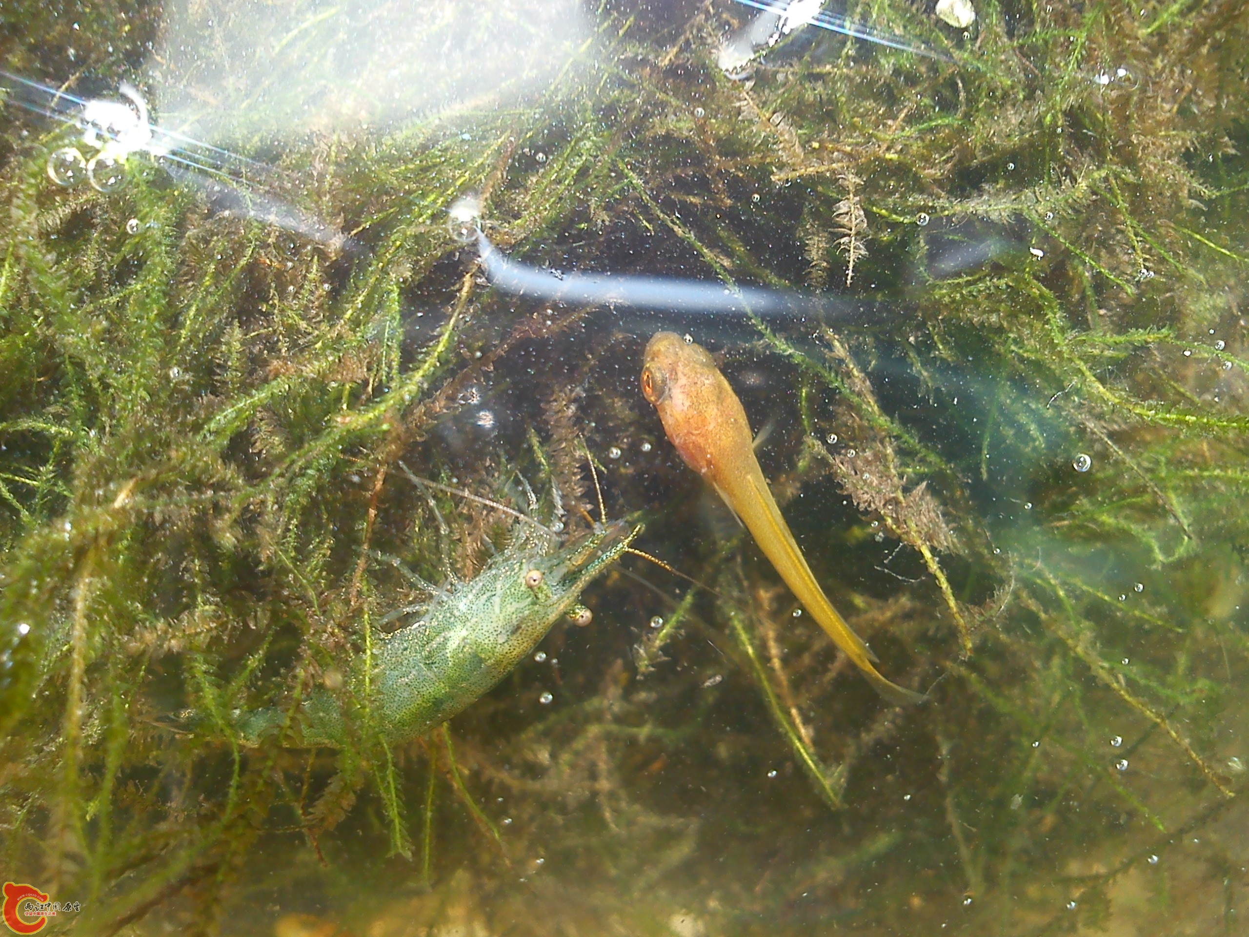 Camera_20120527_144020.jpg