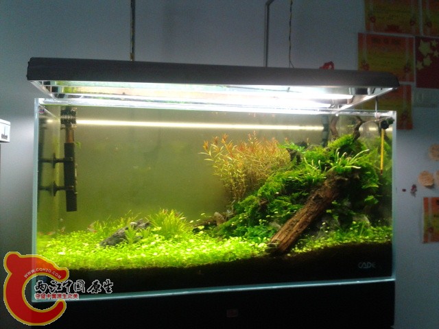 2012-05-15 07[1].24.55.jpg