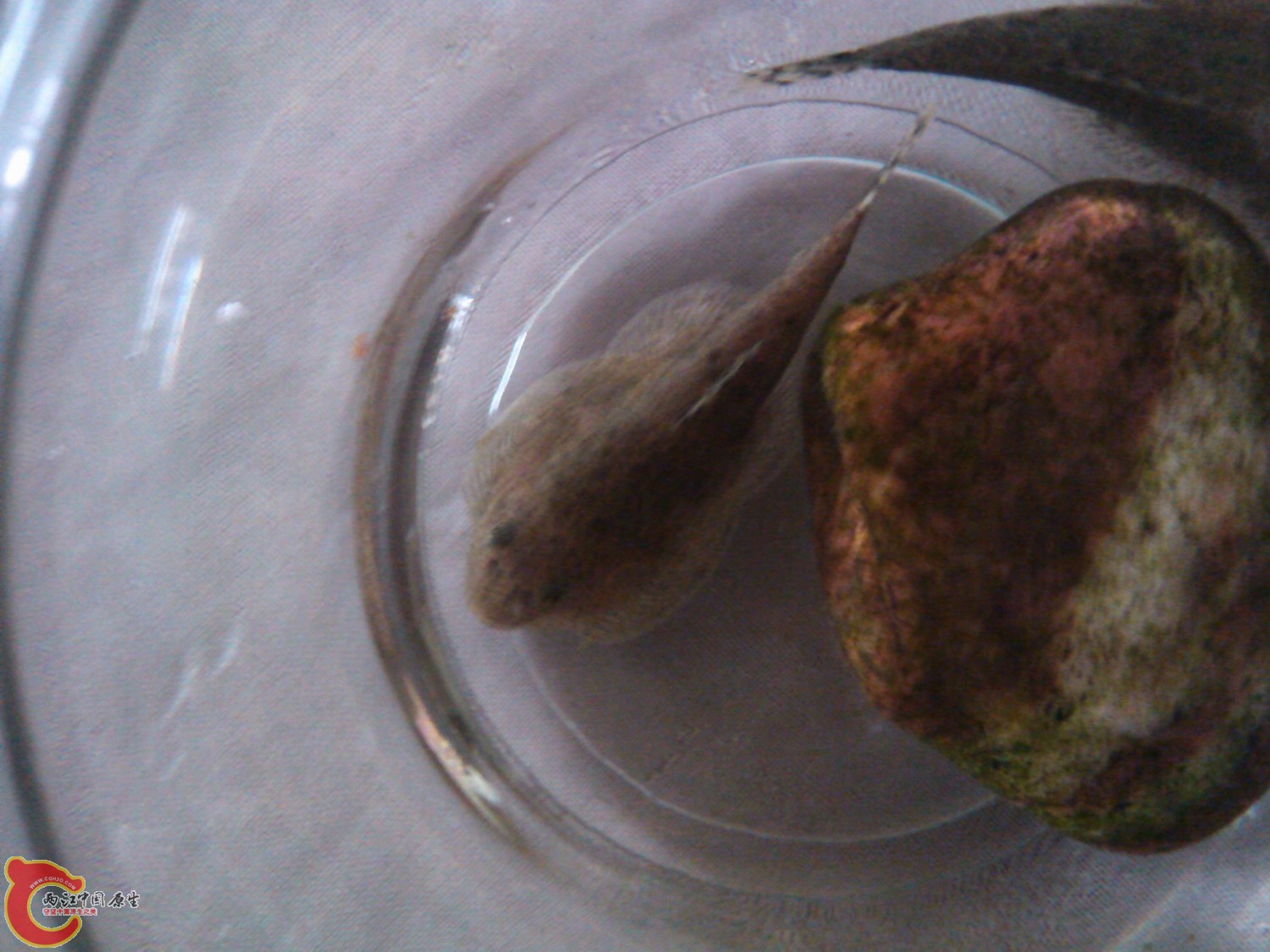 IMG_20120530_160502_0.jpg