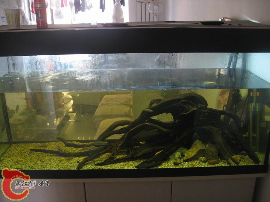 照片 1140.jpg