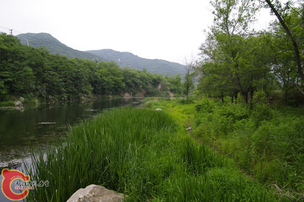 _IGP4366.jpg