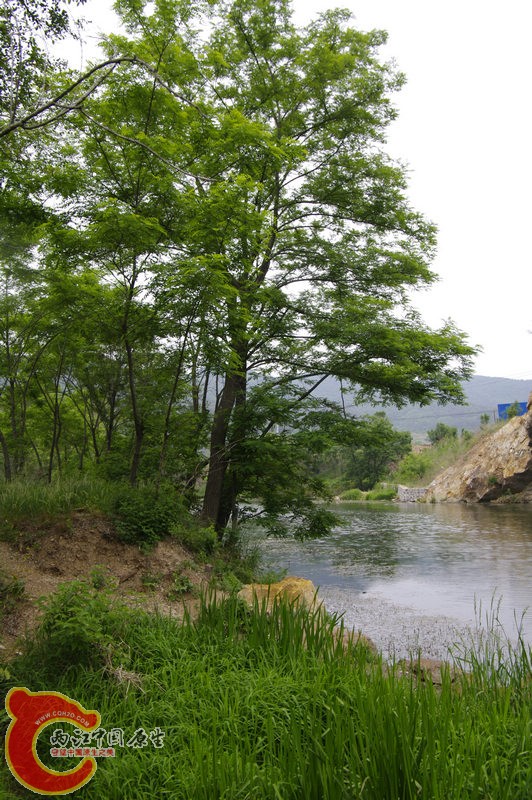 _IGP4430.jpg