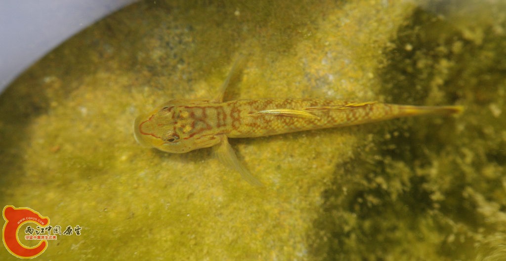 _IGP4113.jpg