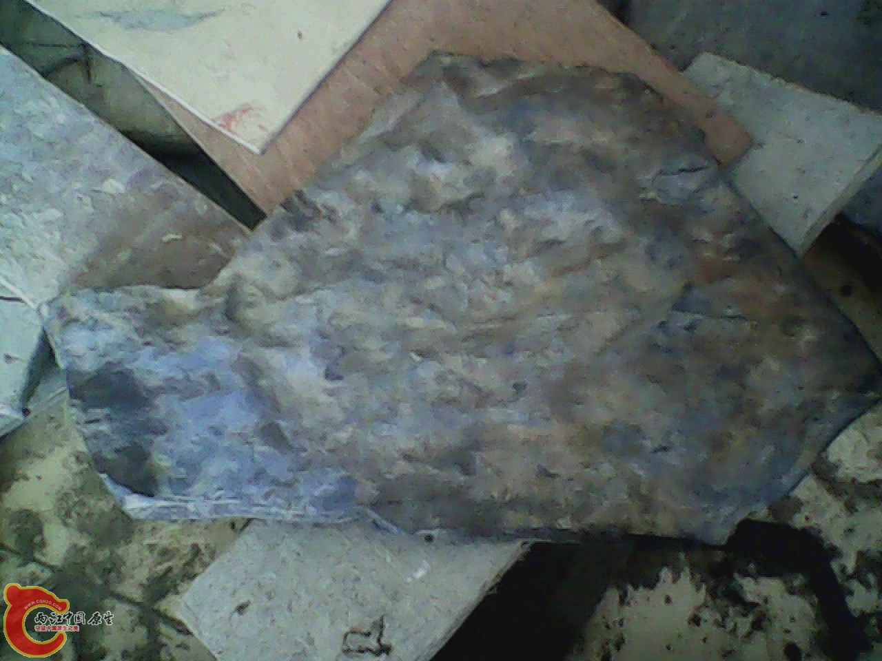 img0531_110645758.jpg