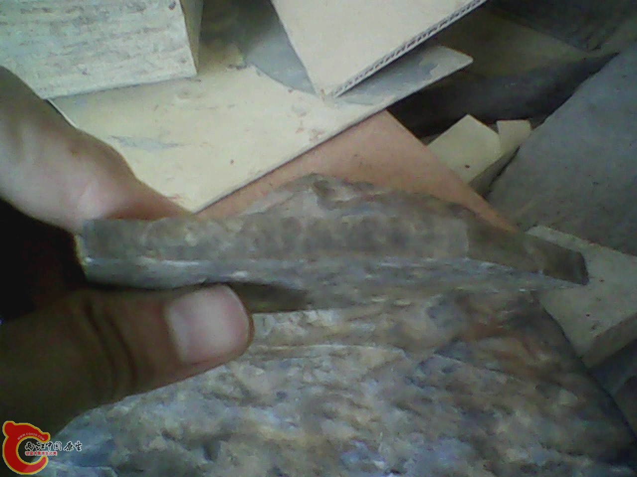 img0531_110743567.jpg