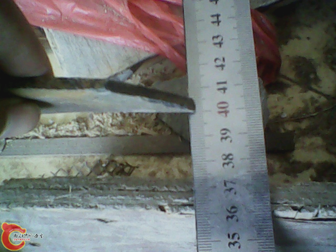 img0531_110830761.jpg