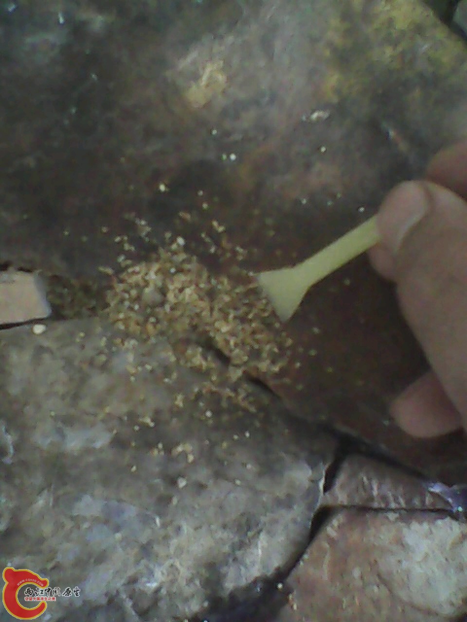 img0602_154320057.jpg