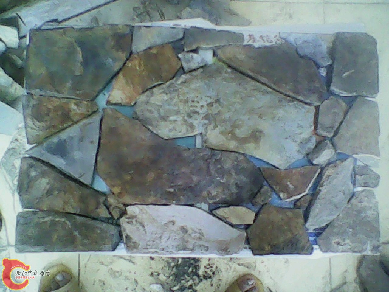 img0530_142315297.jpg