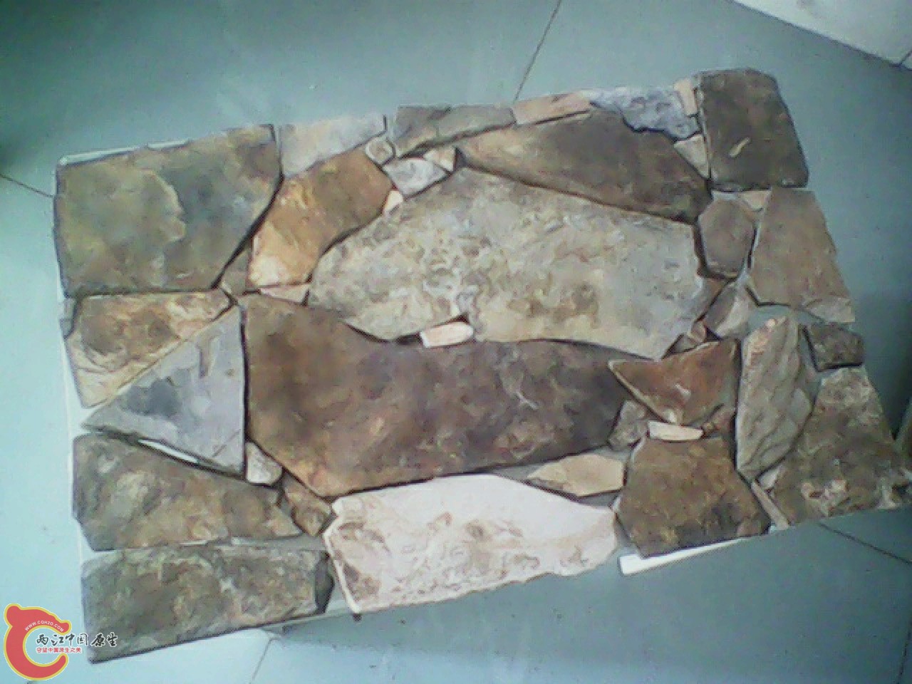 img0531_082142002.jpg