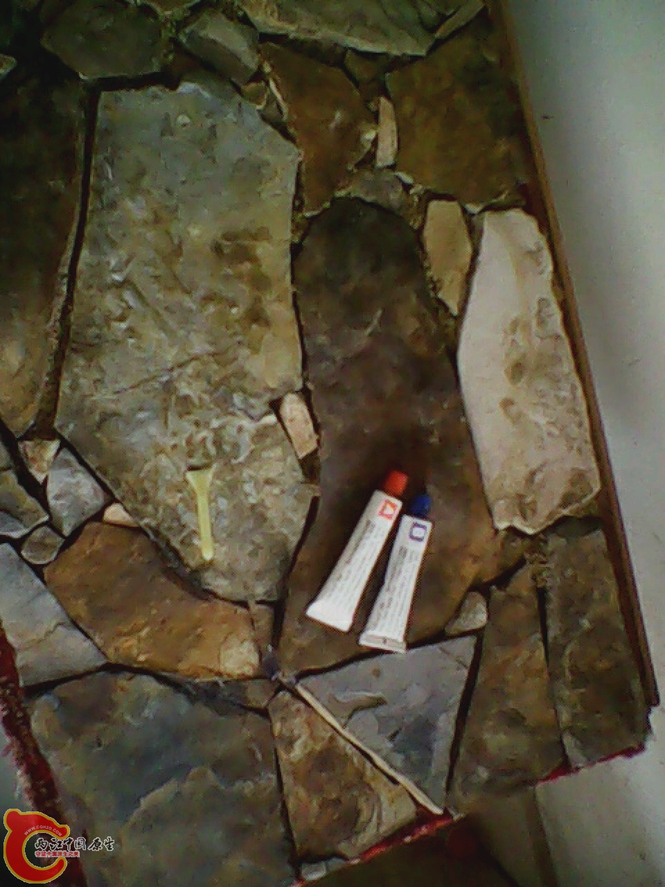 img0602_153718959.jpg