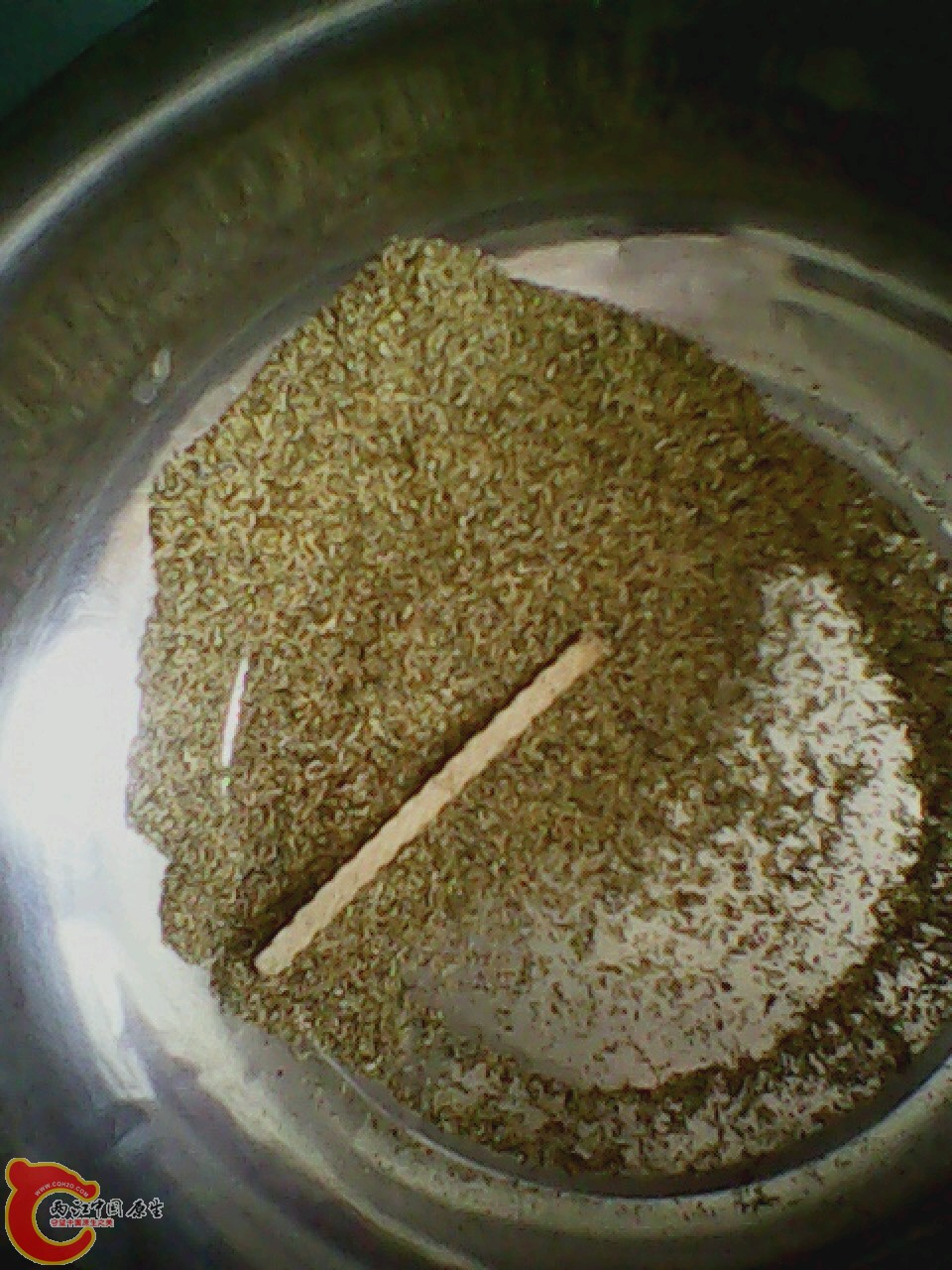 img0602_153731956.jpg