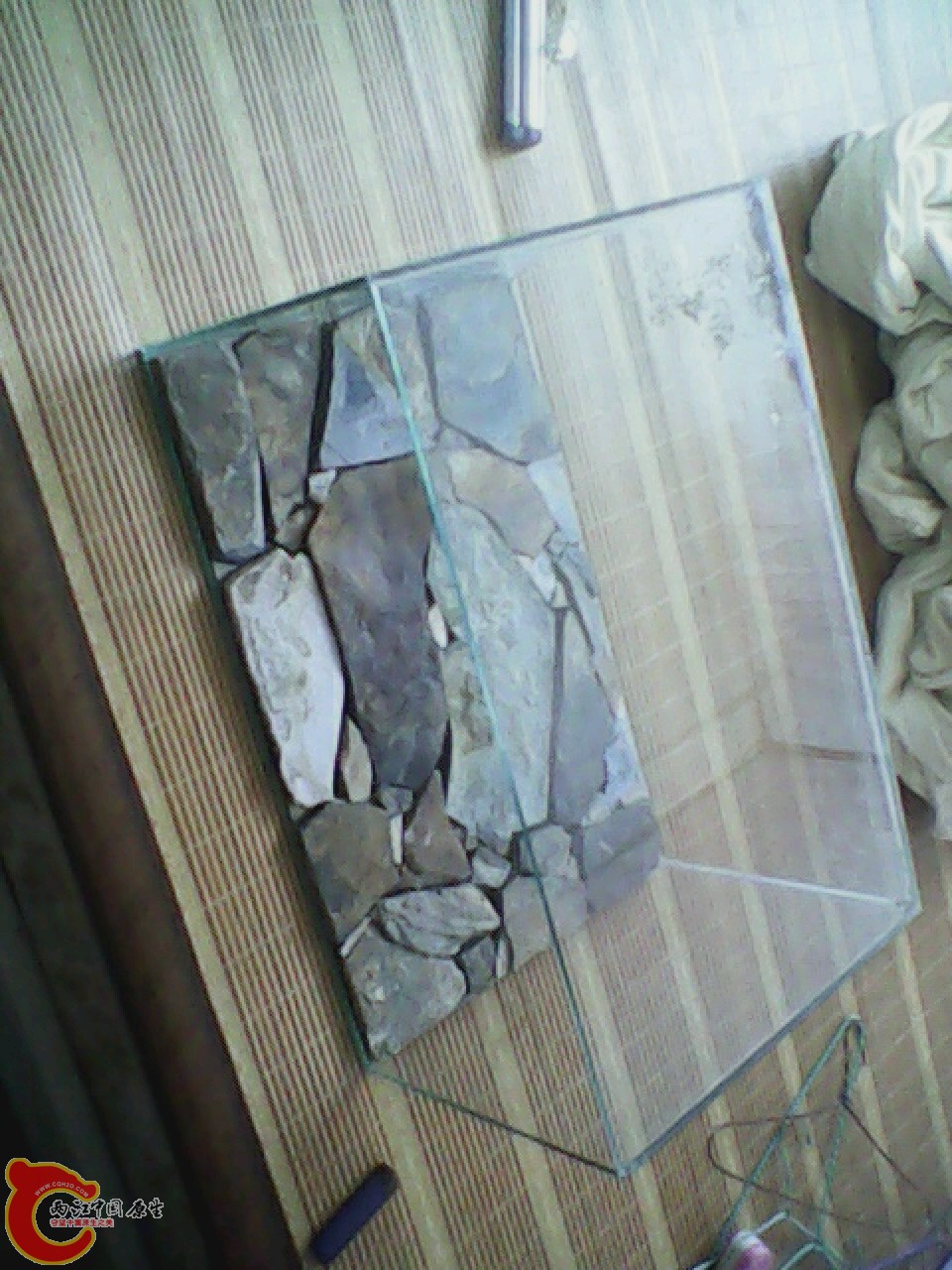 img0602_130752067.jpg
