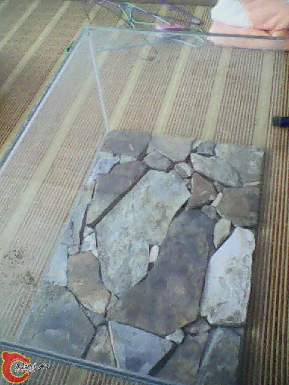 img0602_131052746.jpg
