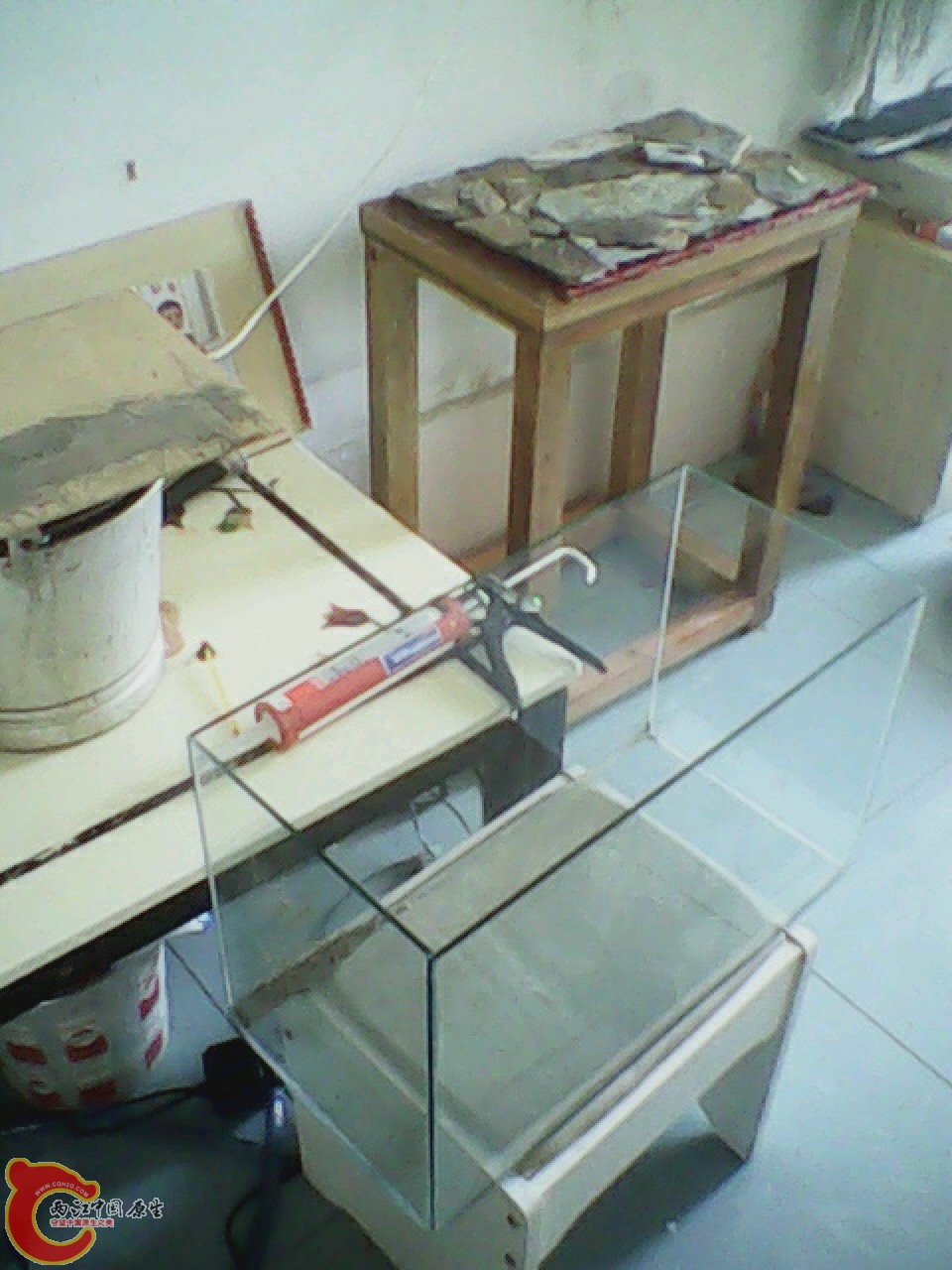 img0602_153633286.jpg