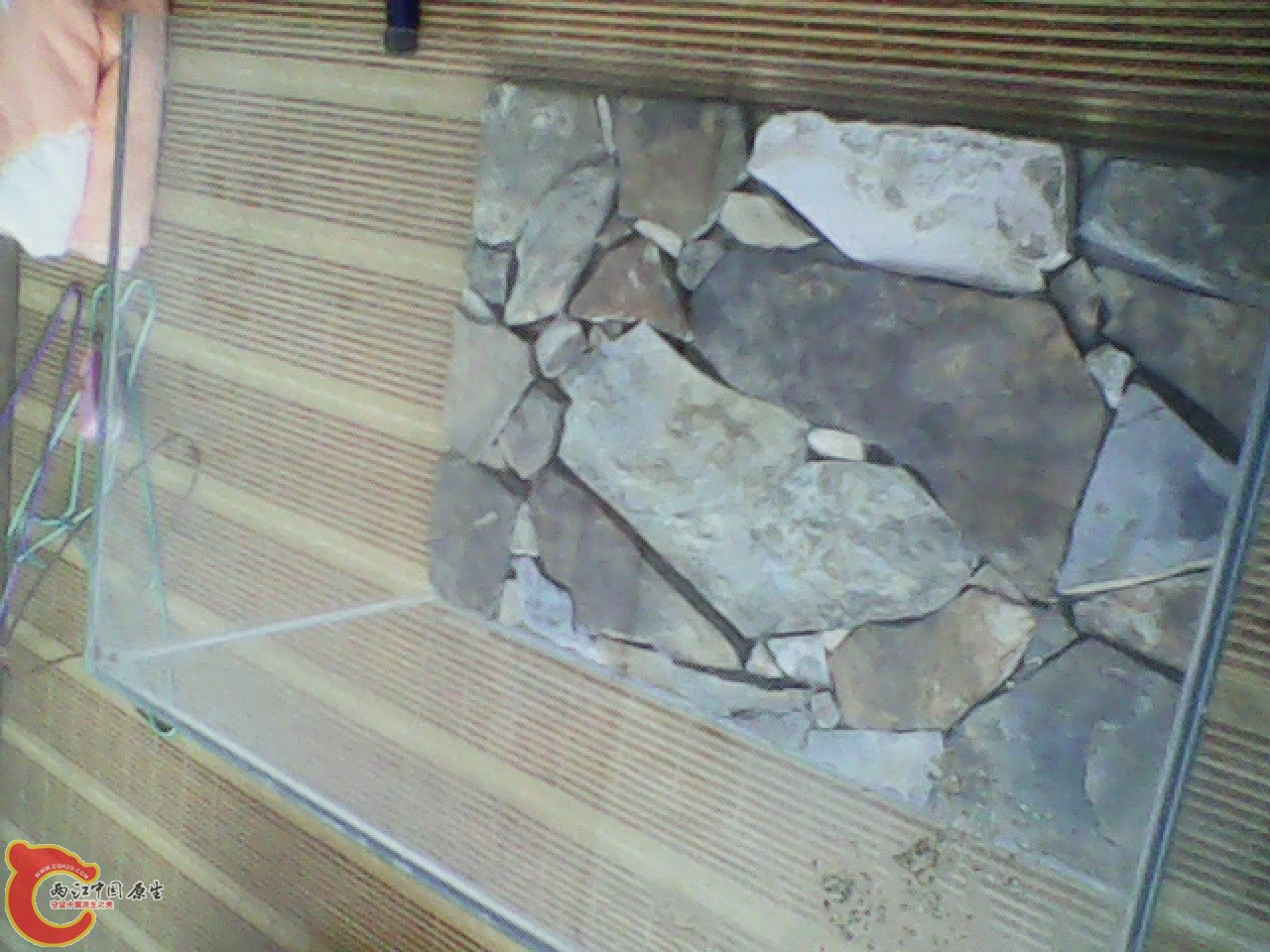 img0602_131052746.jpg