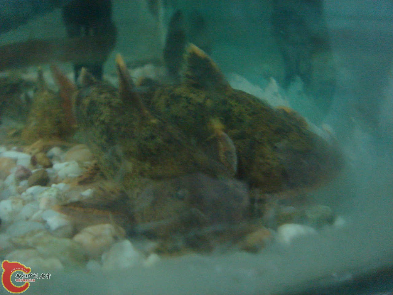 DSC06407.JPG