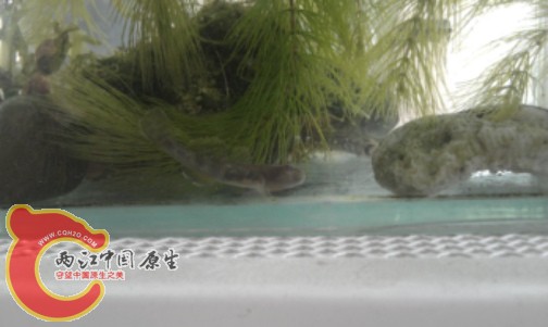 IMAG0091.jpg