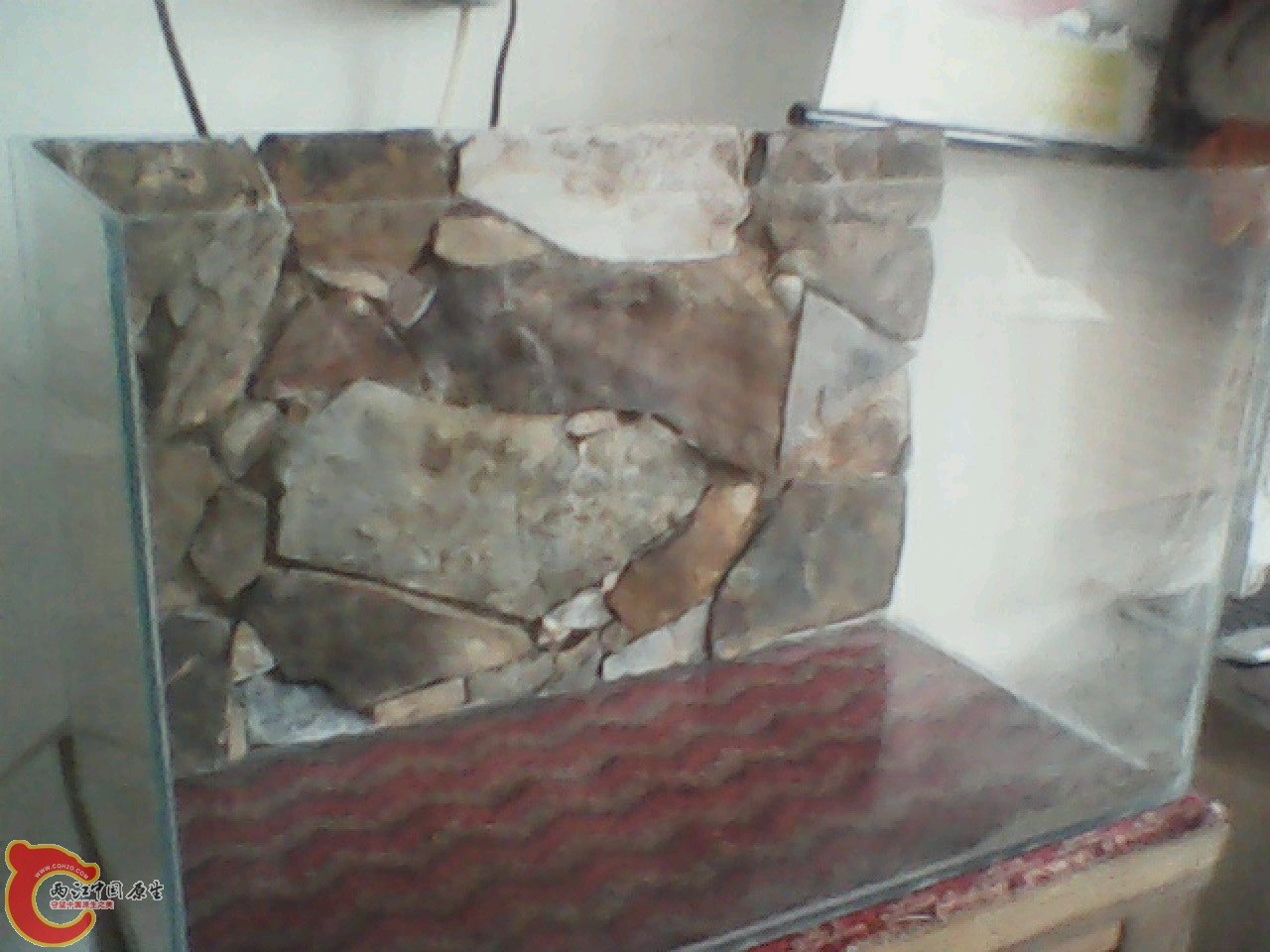 img0603_173025542.jpg